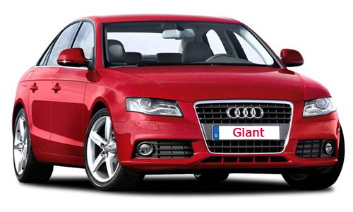 Giant Car Hire